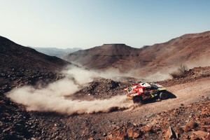 55025426130 F251e630f0 C